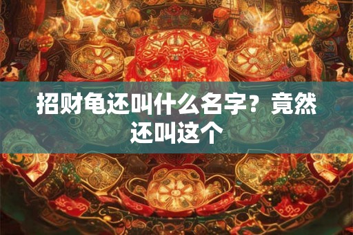 招财龟还叫什么名字？竟然还叫这个