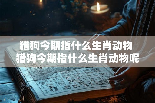 猎狗今期指什么生肖动物 猎狗今期指什么生肖动物呢
