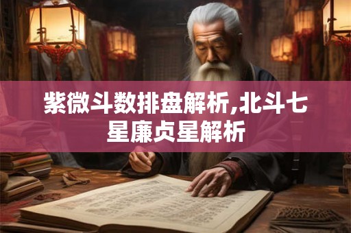 紫微斗数排盘解析,北斗七星廉贞星解析 紫微斗数排盘解析,北斗七星廉贞星解析