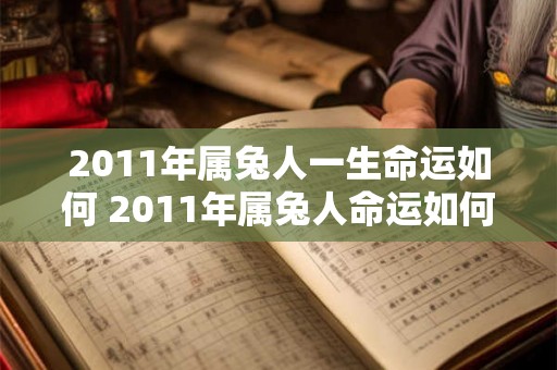 2011年属兔人一生命运如何 2011年属兔人命运如何