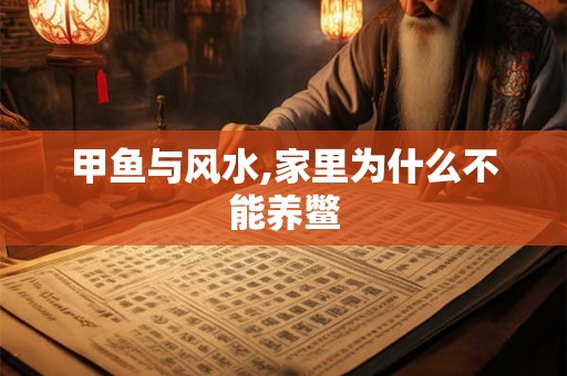 甲鱼与风水,家里为什么不能养鳖