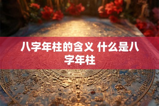 八字年柱的含义 什么是八字年柱