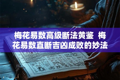 梅花易数高级断法黄鉴  梅花易数直断吉凶成败的妙法