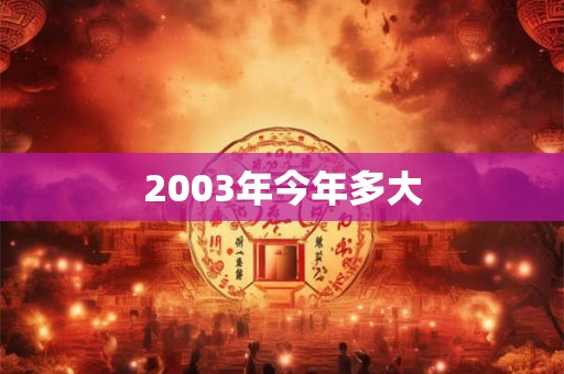 2003年今年多大