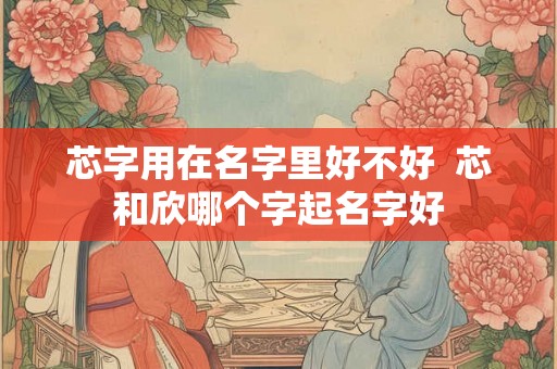 芯字用在名字里好不好  芯和欣哪个字起名字好