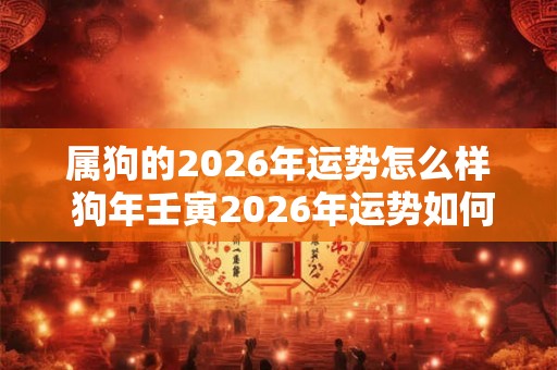 属狗的2026年运势怎么样 狗年壬寅2026年运势如何