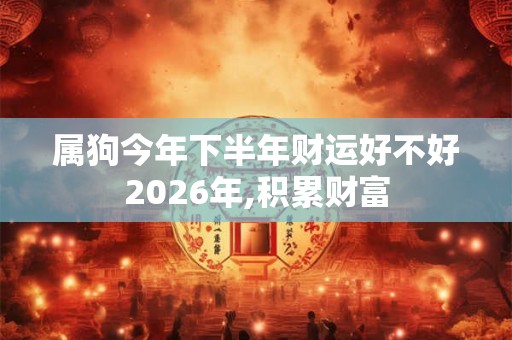 属狗今年下半年财运好不好2026年,积累财富