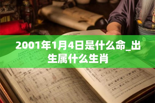 2001年1月4日是什么命_出生属什么生肖