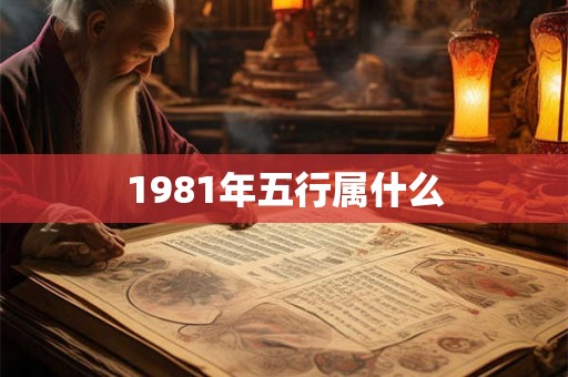 1981年五行属什么