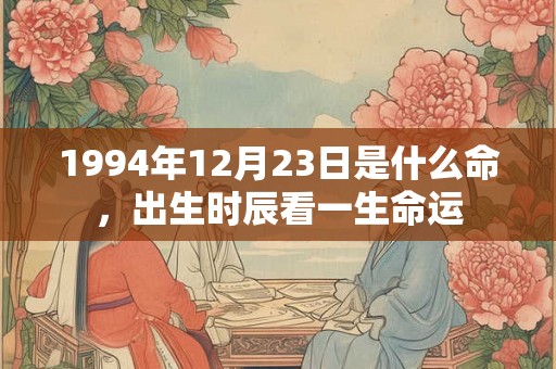 1994年12月23日是什么命，出生时辰看一生命运