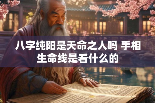 八字纯阳是天命之人吗 手相生命线是看什么的