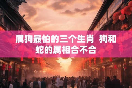 属狗最怕的三个生肖  狗和蛇的属相合不合