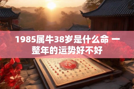 1985属牛38岁是什么命 一整年的运势好不好