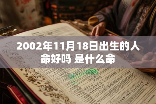 2002年11月18日出生的人命好吗 是什么命