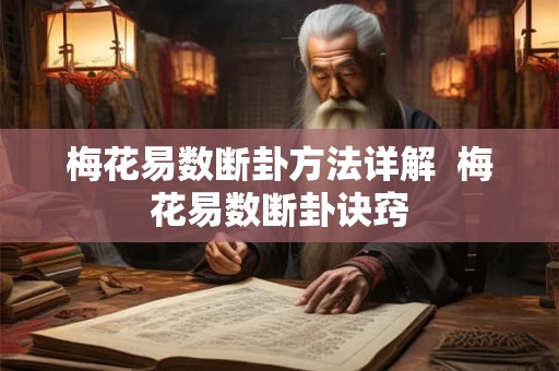梅花易数断卦方法详解  梅花易数断卦诀窍