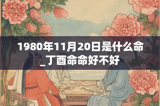 1980年11月20日是什么命_丁酉命命好不好
