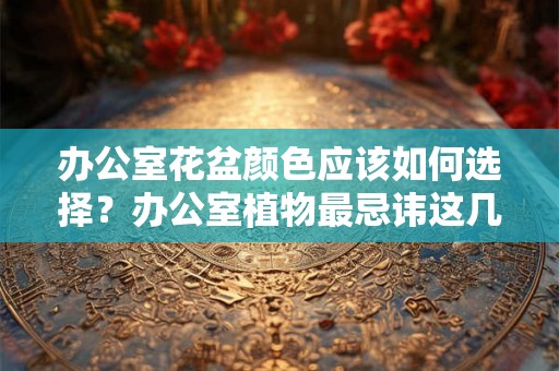 办公室花盆颜色应该如何选择？办公室植物最忌讳这几点？