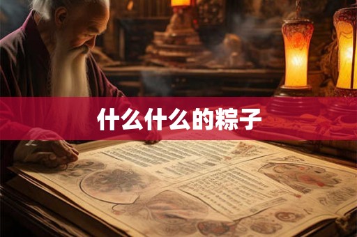 什么什么的粽子