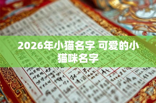 2026年小猫名字 可爱的小猫咪名字 2026年小猫名字 可爱的小猫咪名字