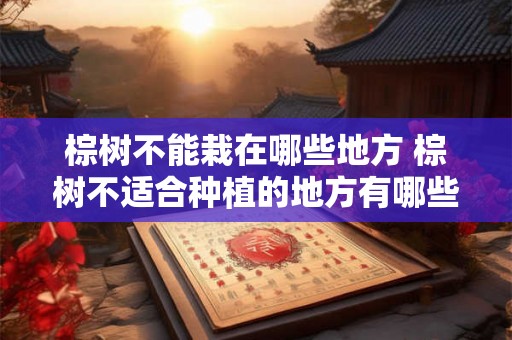 棕树不能栽在哪些地方 棕树不适合种植的地方有哪些