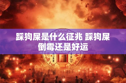 踩狗屎是什么征兆 踩狗屎倒霉还是好运 踩狗屎是什么征兆 踩狗屎倒霉还是好运