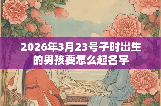 2026年3月23号子时出生的男孩要怎么起名字