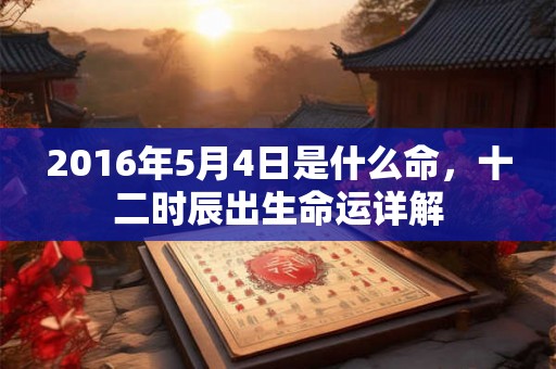 2016年5月4日是什么命,十二时辰出生命运详解 2016年5月4日是什么命,十二时辰出生命运详解