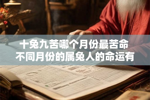 十兔九苦哪个月份最苦命 不同月份的属兔人的命运有什么不同