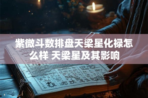 紫微斗数排盘天梁星化禄怎么样 天梁星及其影响