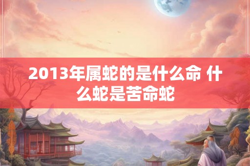 2013年属蛇的是什么命 什么蛇是苦命蛇 2013年属蛇的是什么命 什么蛇是苦命蛇