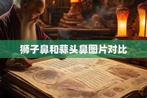 狮子鼻和蒜头鼻图片对比