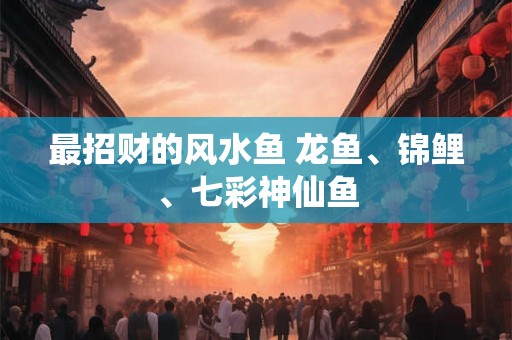 最招财的风水鱼 龙鱼、锦鲤、七彩神仙鱼