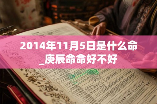 2014年11月5日是什么命_庚辰命命好不好