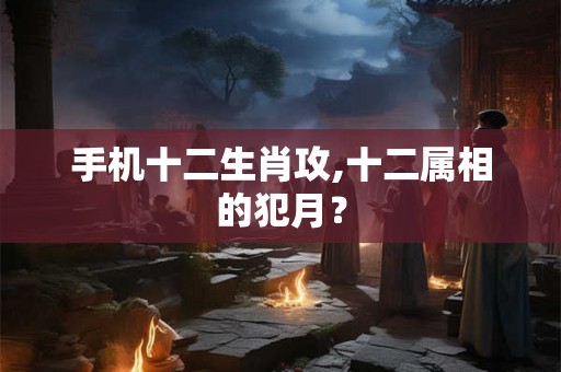手机十二生肖攻,十二属相的犯月？