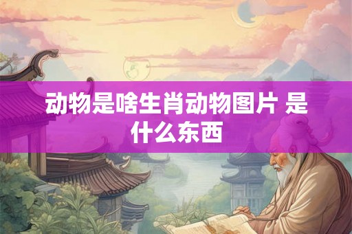 动物是啥生肖动物图片 是什么东西