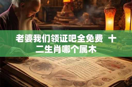 老婆我们领证吧全免费  十二生肖哪个属木