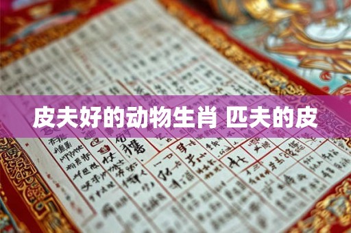 皮夫好的动物生肖 匹夫的皮