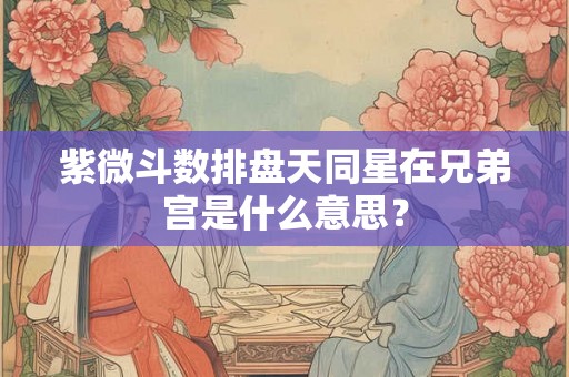紫微斗数排盘天同星在兄弟宫是什么意思? 紫微斗数排盘天同星在兄弟宫是什么意思?