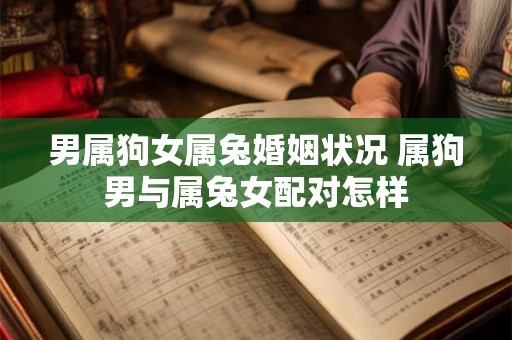 男属狗女属兔婚姻状况 属狗男与属兔女配对怎样 男属狗女属兔婚姻状况 属狗男与属兔女配对怎样