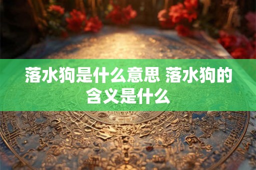 落水狗是什么意思 落水狗的含义是什么