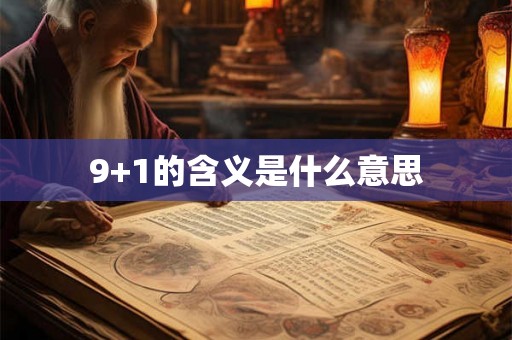 9+1的含义是什么意思