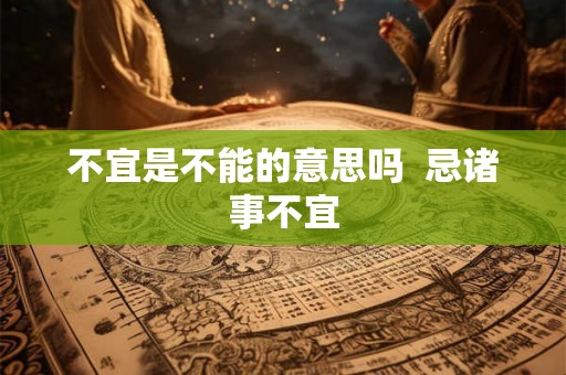不宜是不能的意思吗  忌诸事不宜