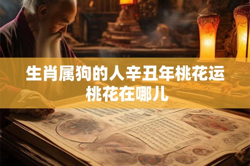 生肖属狗的人辛丑年桃花运 桃花在哪儿