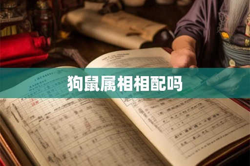 狗鼠属相相配吗
