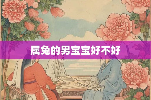 属兔的男宝宝好不好