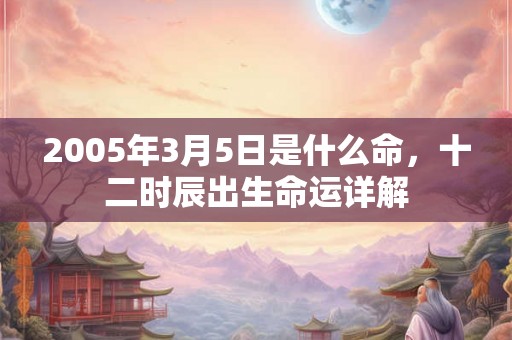 2005年3月5日是什么命，十二时辰出生命运详解