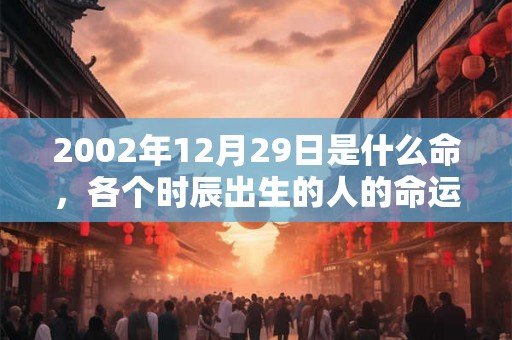 2002年12月29日是什么命，各个时辰出生的人的命运