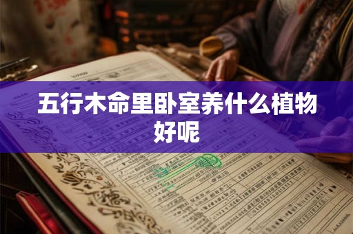 五行木命里卧室养什么植物好呢