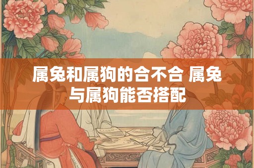 属兔和属狗的合不合 属兔与属狗能否搭配