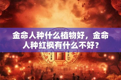 金命人种什么植物好，金命人种红枫有什么不好？